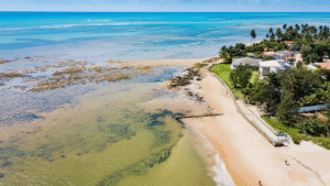 Praia Sonho Verde - Dicas e Roteiro
