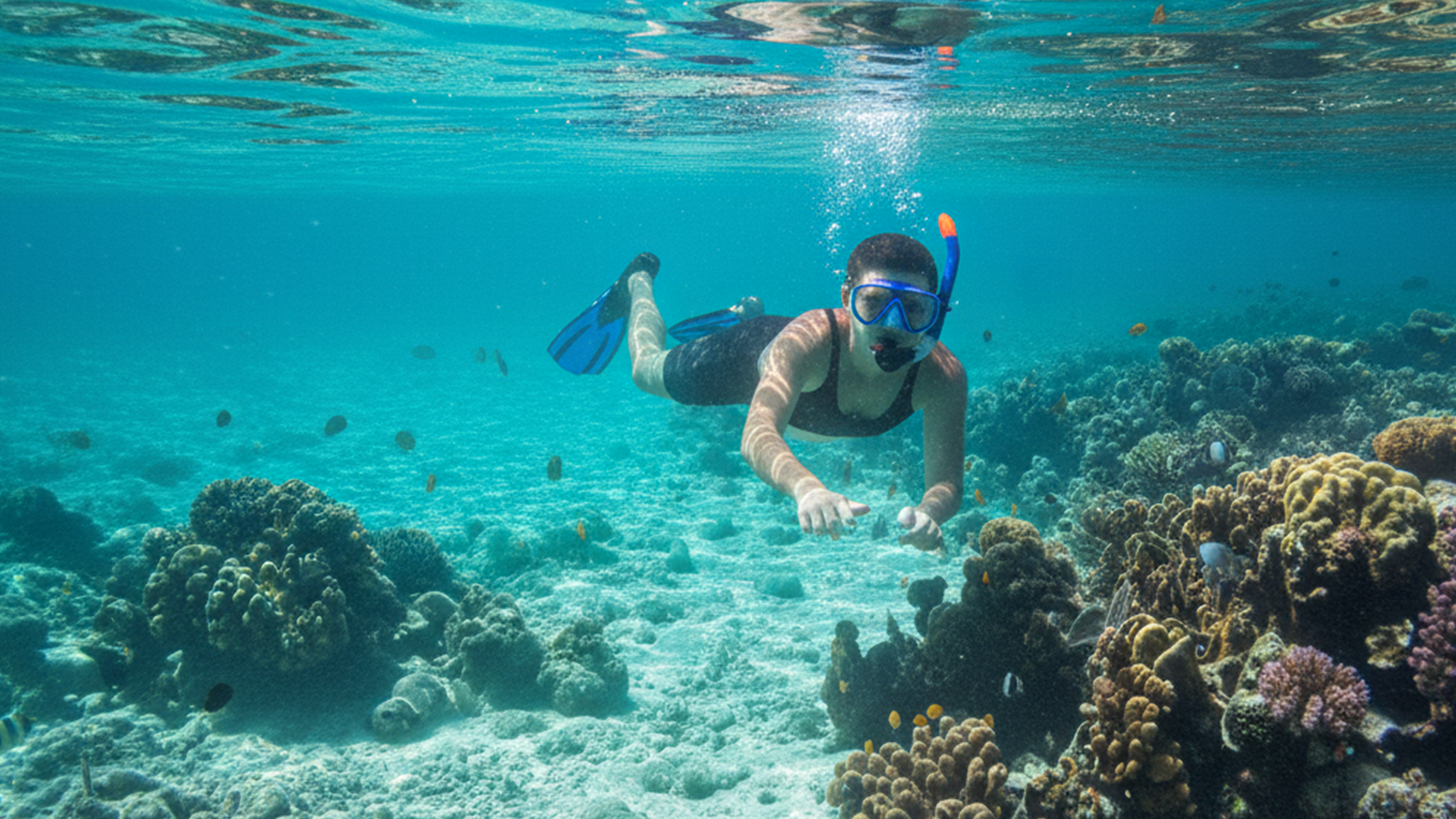 Melhores Horários para Visitar Paripueira Dependendo da Tábua das Marés: Guia Completo para Turistas