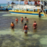 Melhores Horários para Visitar Paripueira Dependendo da Tábua das Marés: Guia Completo para Turistas