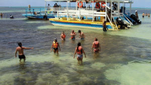 Melhores Horários para Visitar Paripueira Dependendo da Tábua das Marés: Guia Completo para Turistas