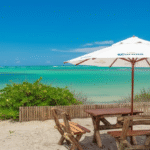 Passeios Imperdíveis Saindo de Paripueira: Praias vizinhas e muito mais