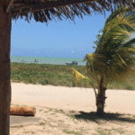 Praia de Paripueira: O Que Saber Antes de Visitar