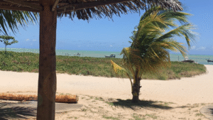 Praia de Paripueira: O Que Saber Antes de Visitar