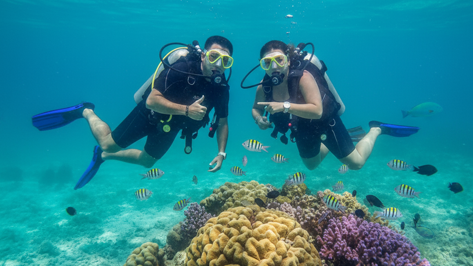 Turismo Científico: Experiências Únicas em Paripueira