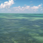 Paripueira para idosos e pessoas com mobilidade reduzida: melhores pontos, acessos e dicas