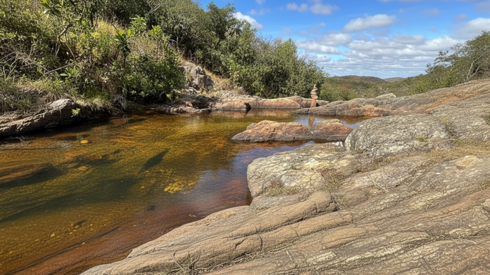 Ecoturismo em Paripueira: Trilhas e Observação da Fauna