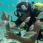 Mergulho em Paripueira: Onde Encontrar os Melhores Recifes e Vida Marinha