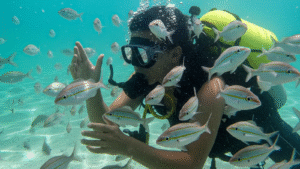 Turismo Científico: Experiências Únicas em Paripueira