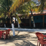 Barraca do Osvaldo: Tradição, Sabor e Hospitalidade na Praia de Paripueira