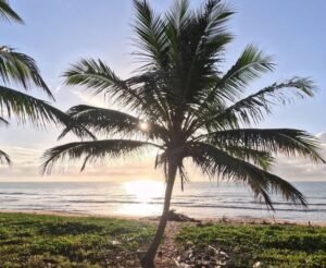 Mirante da Sereia – Um Refúgio de Tranquilidade em Riacho Doce, Maceió (AL)