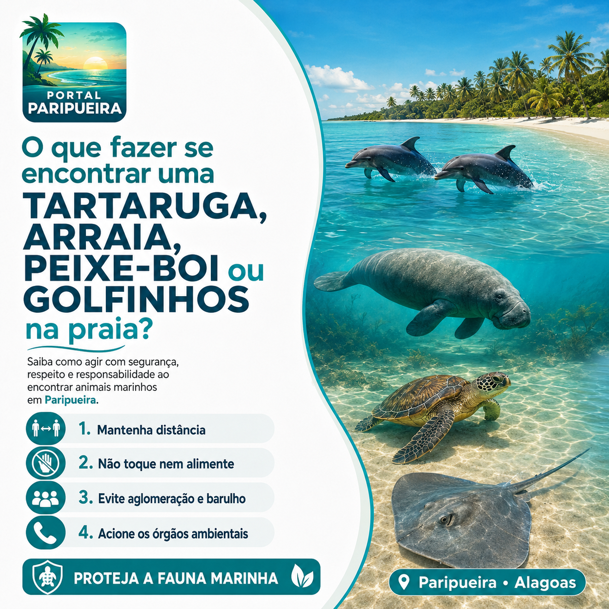 O que fazer se encontrar uma Tartaruga, Arraia, Peixe-boi ou Golfinhos na praia - www.paripueira.com