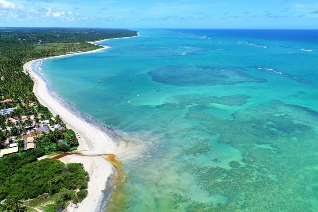 Transfer Maceió ⇄ São Miguel dos Milagres - conforto e segurança do aeroporto à Rota Ecológica