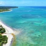 Transfer Maceió ⇄ São Miguel dos Milagres - conforto e segurança do aeroporto à Rota Ecológica