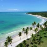 Transfer Maceió ⇄ São Miguel dos Milagres - conforto e segurança do aeroporto à Rota Ecológica4