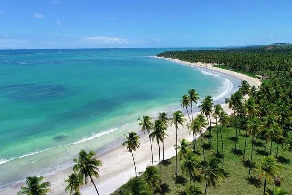 Transfer Maceió ⇄ São Miguel dos Milagres - conforto e segurança do aeroporto à Rota Ecológica