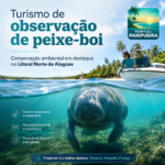 Turismo de observação de peixe-boi reforça a importância da conservação ambiental no Litoral Norte de Alagoas - instagram-portal_paripueira